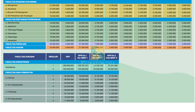 Rincian Biaya Kuliah DPP UMM Malang 2