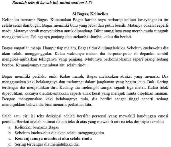 Contoh Soal PTS Bahasa Indonesia 1