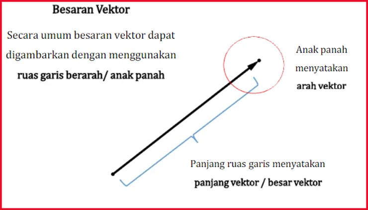 Apa Itu Vektor Matematika