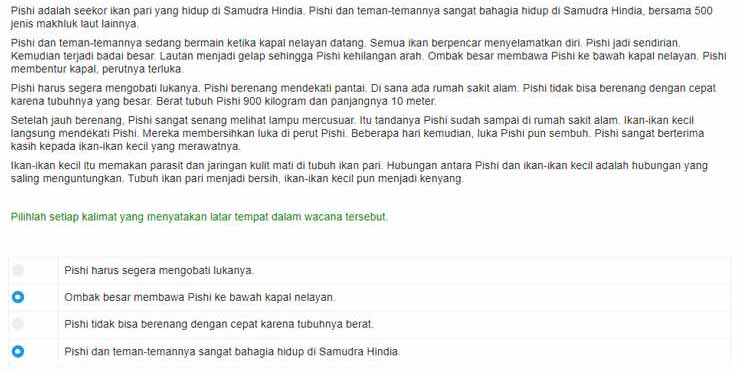 Contoh Soal AKM Kelas 5 SD Fiksi 2