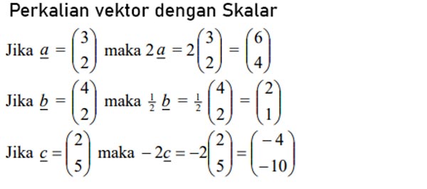 Perkalian Vektor dengan Skalar