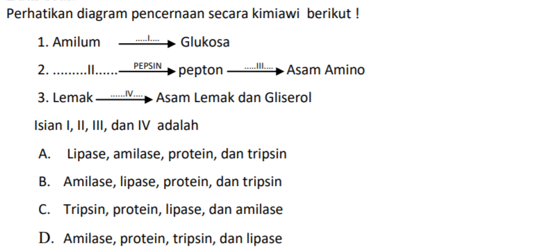 Contoh Soal PAS IPA kelas 8 Semester 1 - 5