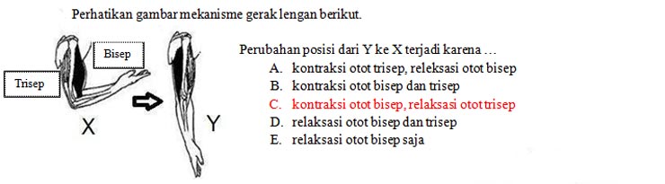 Contoh Soal 6