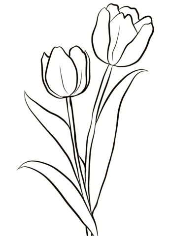 Gambar Mewarnai Bunga Tulip