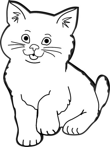 gambar kucing lucu