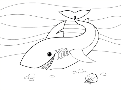ikan hiu 2