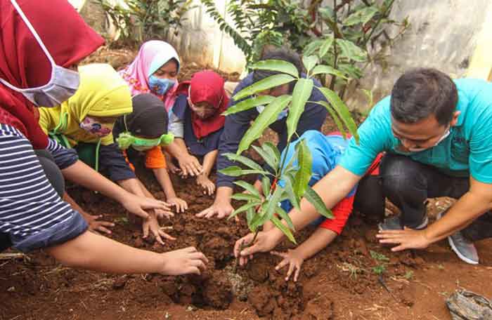 Program Liburan Bertanam