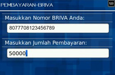 4. Masukkan Kode BRIVA untuk Bayar Tagihan yang Akan Dibayarkan