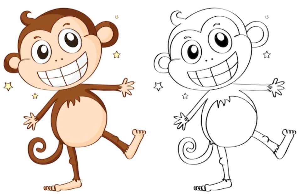 gambar hewan monyet